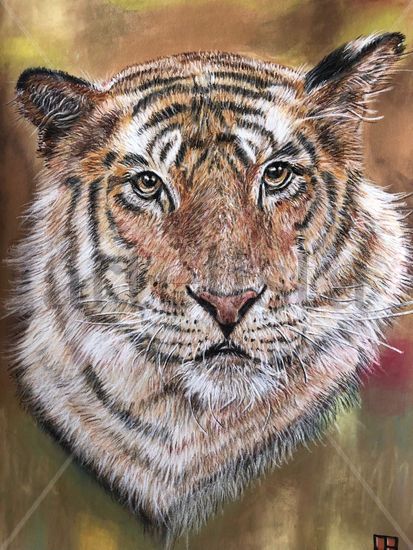 Tiger in pastel Pastel Paper Animals