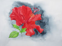 Hibisco rojo 2