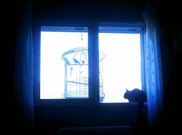 miga en la ventana