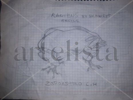 Raniens ship brainext