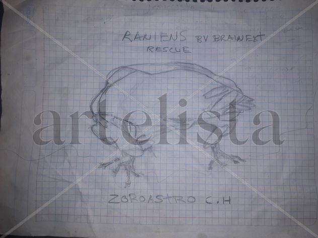 RANIENS SHIP BRAINEXT