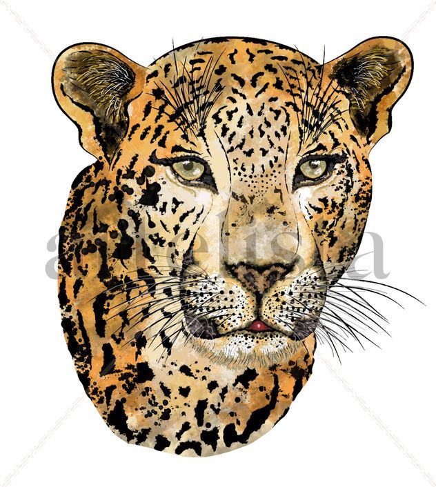 Cabeza Jaguar
