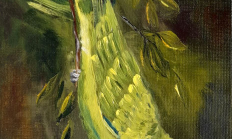los pajaros