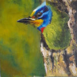 los pajaros thumbnail 1