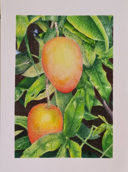 Mangos bajitos