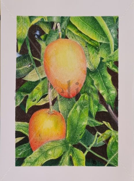Mangos bajitos