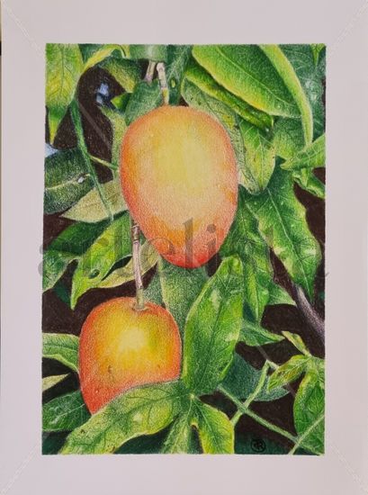 Mangos bajitos Pencil (coloured) Paper Landscaping