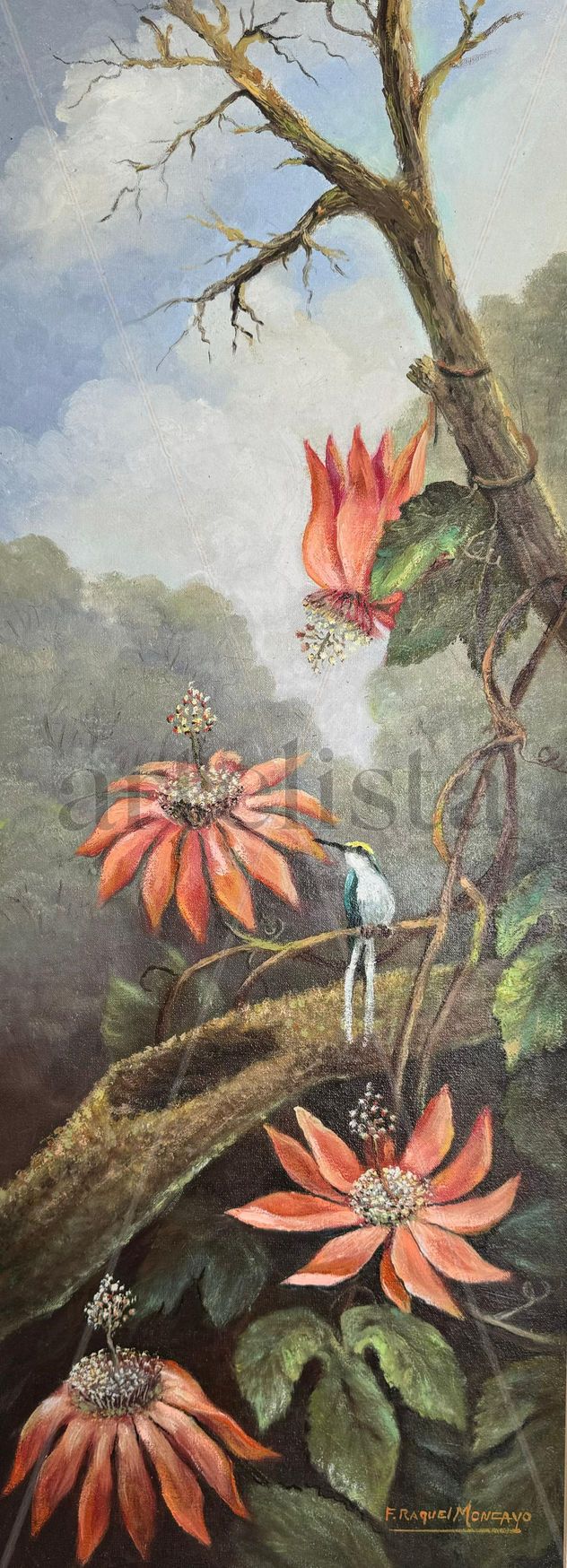 Picaflor en flores de Taxo