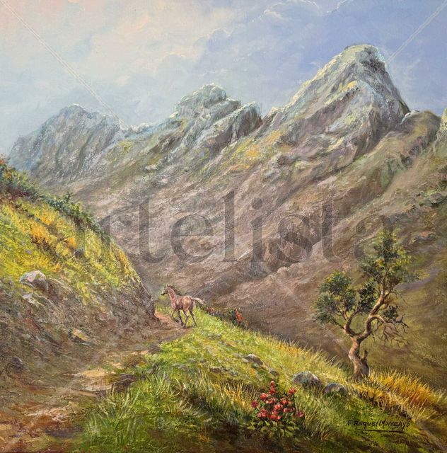 Cerro Puntas Quito Ecuador