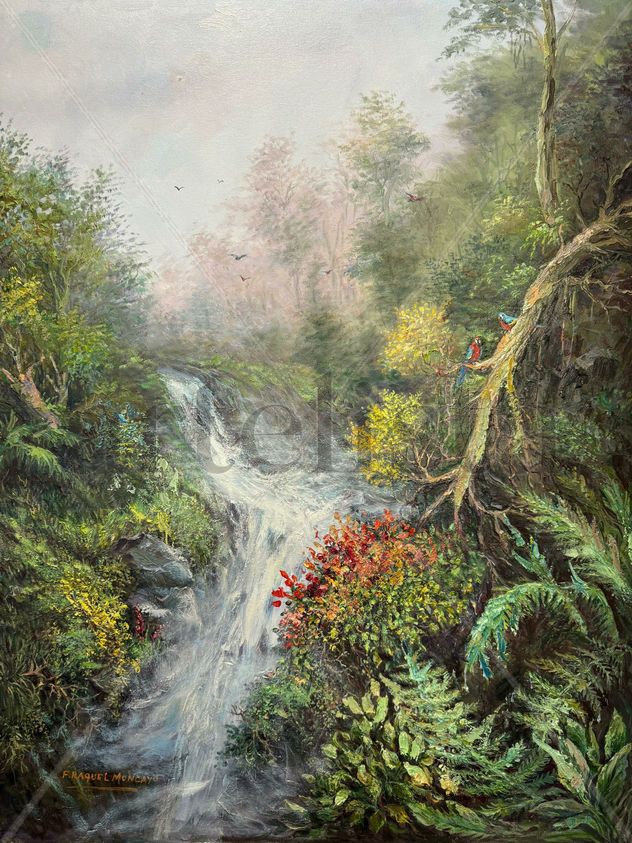 Paisaje del Oriente Ecuatoriano