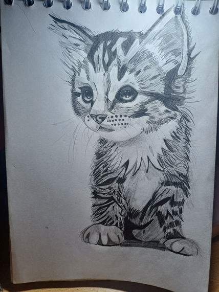 Gatito