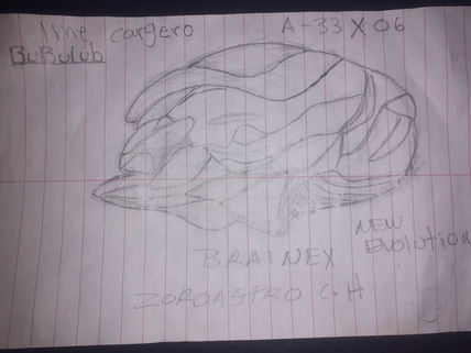 Cargero brainext