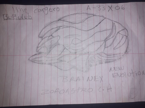 Cargero brainext