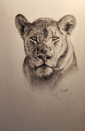 Female lion Grafito