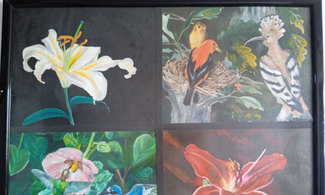 4 cuadros en 1