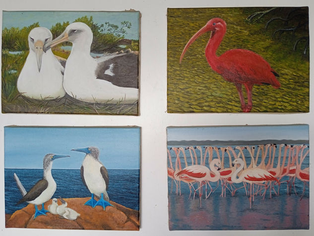 Aves Marinas Oil Canvas Animals