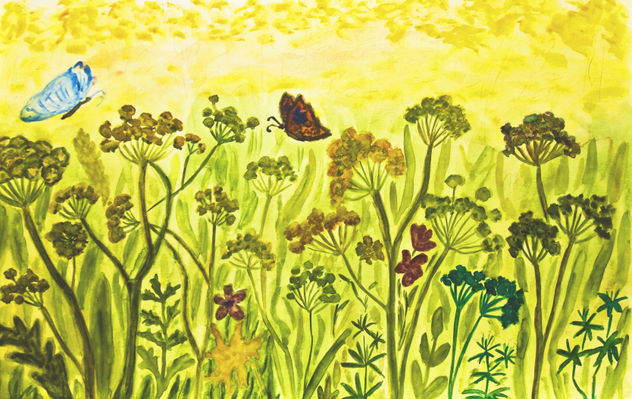 Summer meadow in blossom