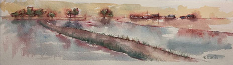 PS24/2 (Paisaje...