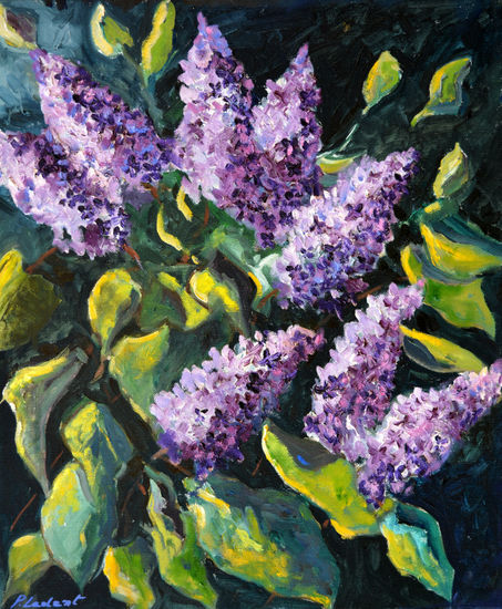 Lilac  -5623 Oil Canvas Floral Painting