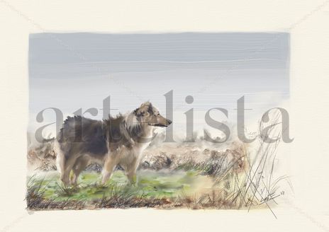 El viento y el perro