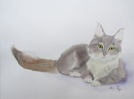 Albert