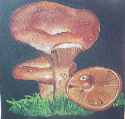Rovellons