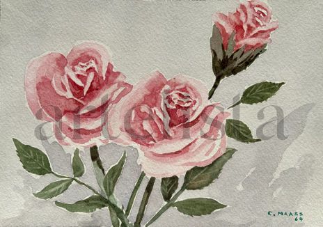 Rosal