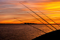 Pescando Atardeceres