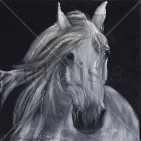 White horse portrait