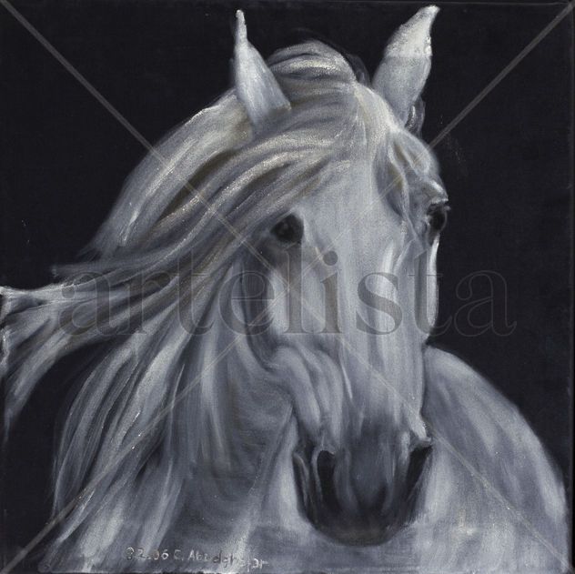 White horse portrait