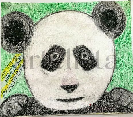 Sms panda
