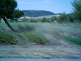 falso viento