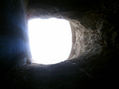 desde la caverna