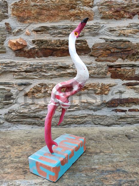 Phoenicopterus