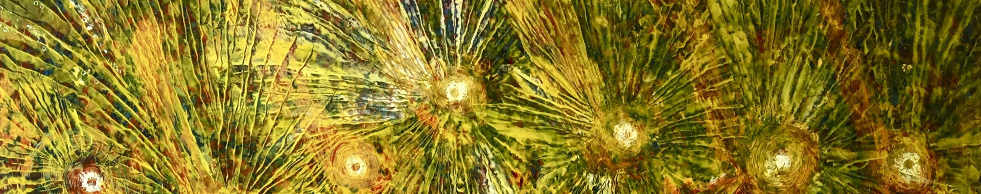 Imagen de portada