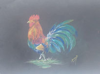 Gallo