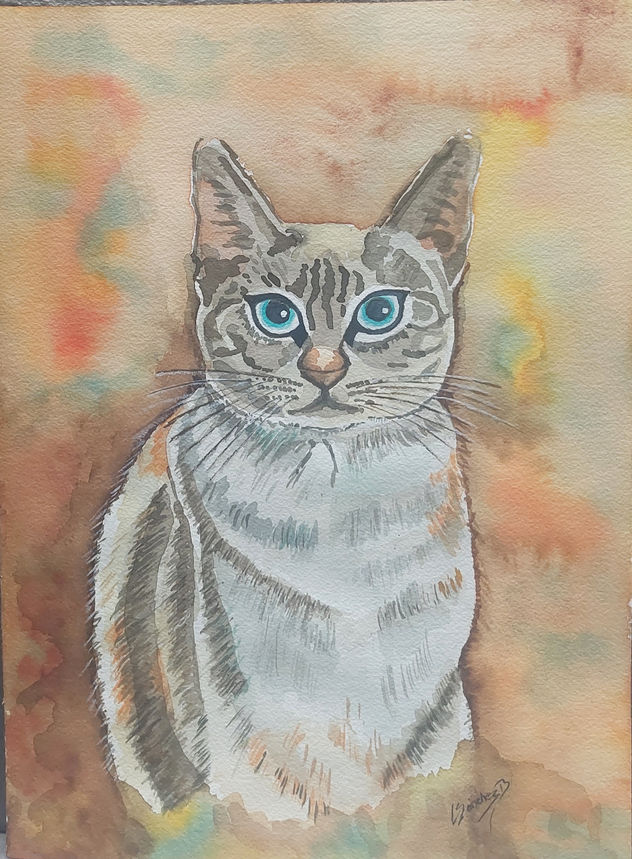Gato