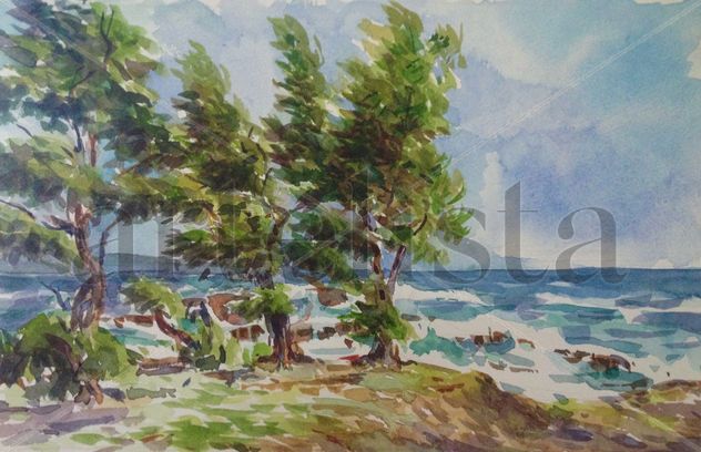 MARINA CON PINOS EN GIBARA