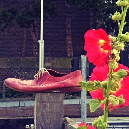 Shoe