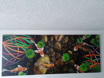 Peces cois