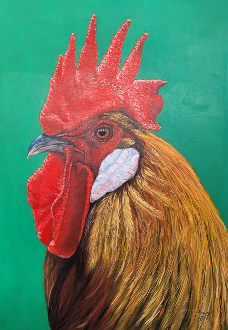 El gallo del...