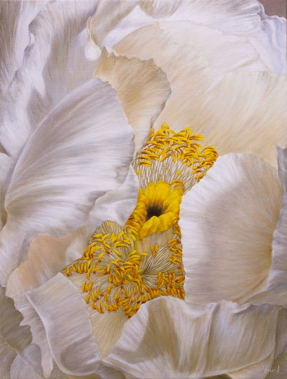 Anastasia Woron: "Peonia Blanca" - Óleo Original Firmado (73x54 cm.) 2023 Óleo Lienzo Floral