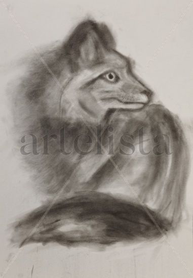 Zorro astuto Charcoal