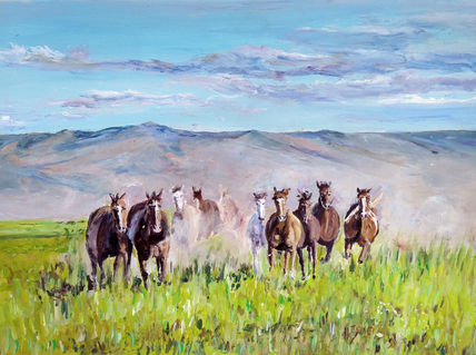 Caballos salvajes