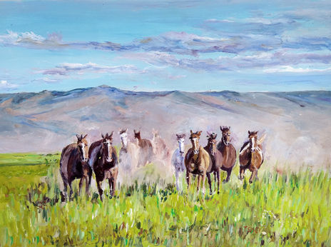 Caballos salvajes