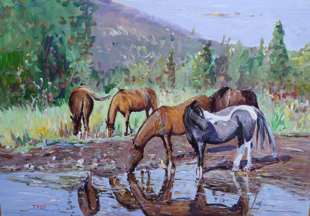 Caballos en las sierras