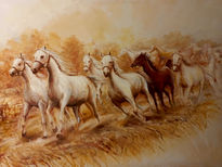 Caballos blancos