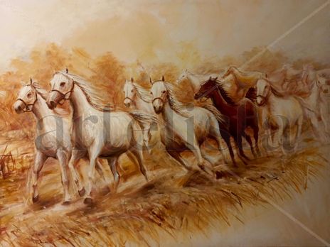 Caballos blancos