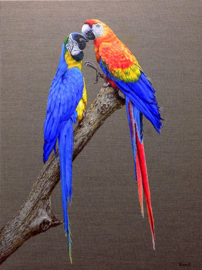 Anastasia Woron: "Dos Guacamallos Enamorados"-Óleo Original (54x73 cm.) 2022 Oil Canvas Animals