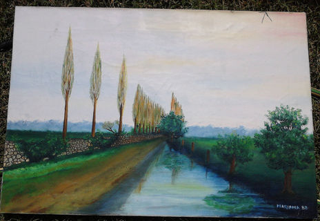 Paisaje Chileno